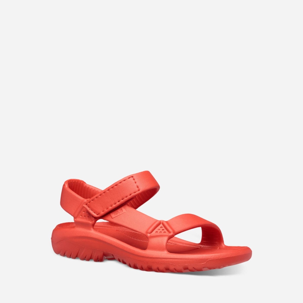 Teva Kids Hurricane Drift Hiking Sandals Sale NZ (WXUHF-1240)